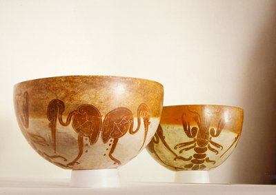 Schaal met aquatische motieven, Vera Cruz door Pre Columbian Pre Columbian